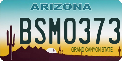 AZ license plate BSM0373