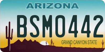 AZ license plate BSM0442