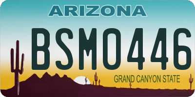 AZ license plate BSM0446