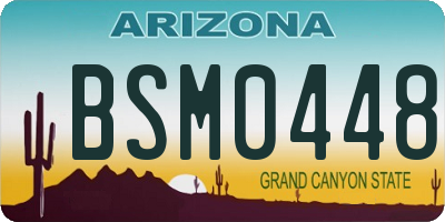 AZ license plate BSM0448