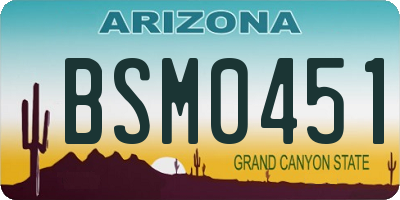 AZ license plate BSM0451