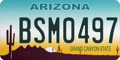 AZ license plate BSM0497