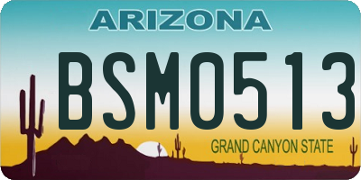 AZ license plate BSM0513