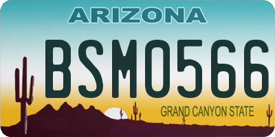 AZ license plate BSM0566