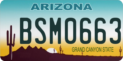 AZ license plate BSM0663