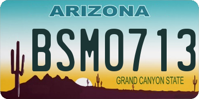 AZ license plate BSM0713