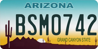 AZ license plate BSM0742