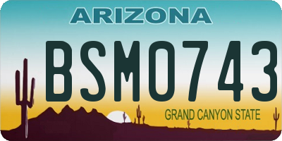 AZ license plate BSM0743