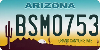 AZ license plate BSM0753