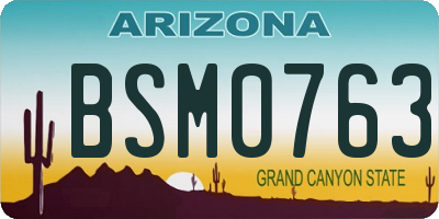 AZ license plate BSM0763