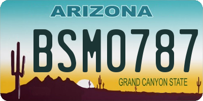 AZ license plate BSM0787