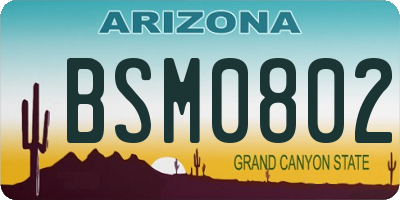 AZ license plate BSM0802