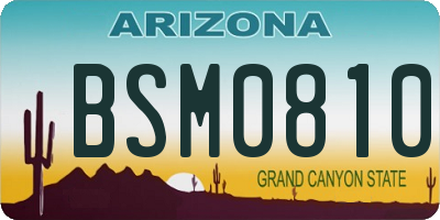 AZ license plate BSM0810