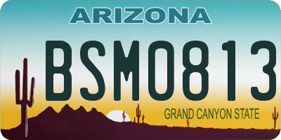 AZ license plate BSM0813