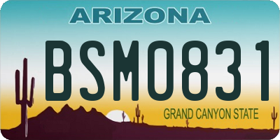 AZ license plate BSM0831