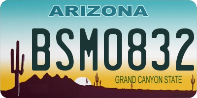 AZ license plate BSM0832