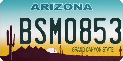 AZ license plate BSM0853