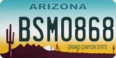 AZ license plate BSM0868