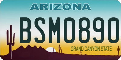 AZ license plate BSM0890