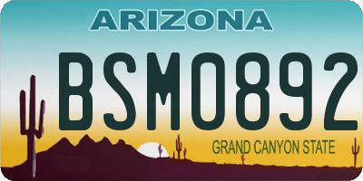 AZ license plate BSM0892
