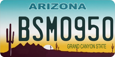 AZ license plate BSM0950