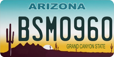 AZ license plate BSM0960