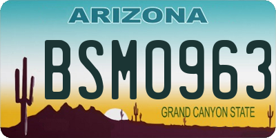 AZ license plate BSM0963