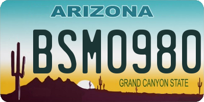 AZ license plate BSM0980