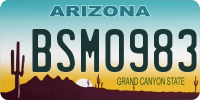 AZ license plate BSM0983