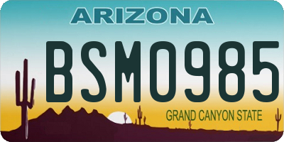 AZ license plate BSM0985
