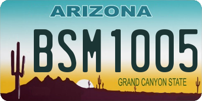 AZ license plate BSM1005