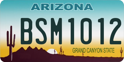 AZ license plate BSM1012