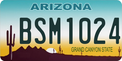 AZ license plate BSM1024