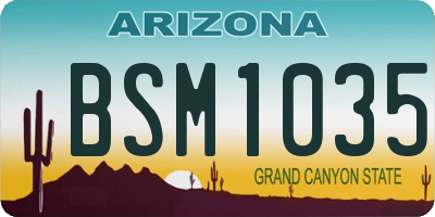 AZ license plate BSM1035