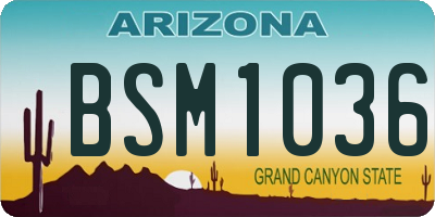AZ license plate BSM1036