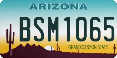 AZ license plate BSM1065
