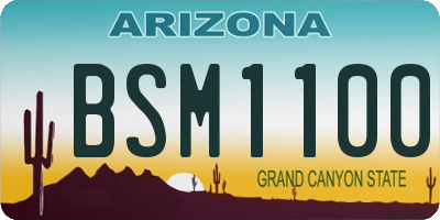 AZ license plate BSM1100