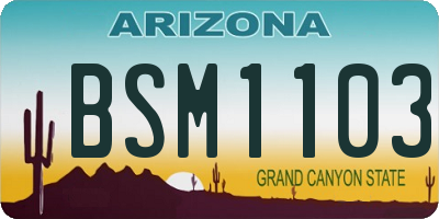 AZ license plate BSM1103