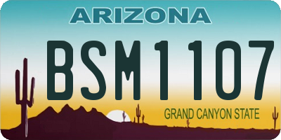 AZ license plate BSM1107