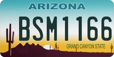 AZ license plate BSM1166