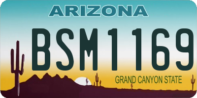 AZ license plate BSM1169