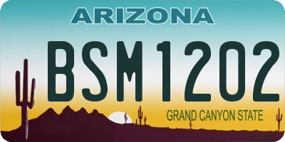 AZ license plate BSM1202