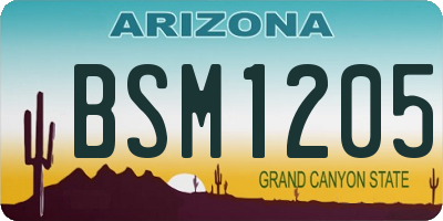 AZ license plate BSM1205