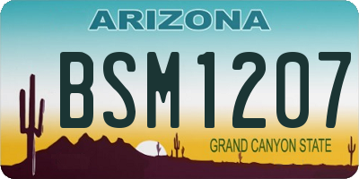 AZ license plate BSM1207