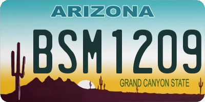 AZ license plate BSM1209