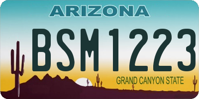 AZ license plate BSM1223