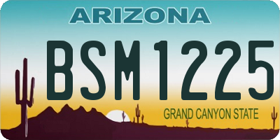 AZ license plate BSM1225