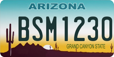AZ license plate BSM1230