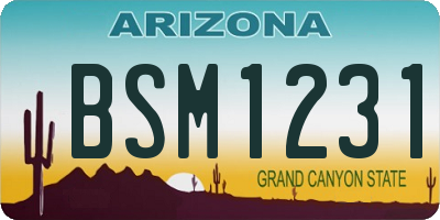 AZ license plate BSM1231