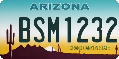 AZ license plate BSM1232